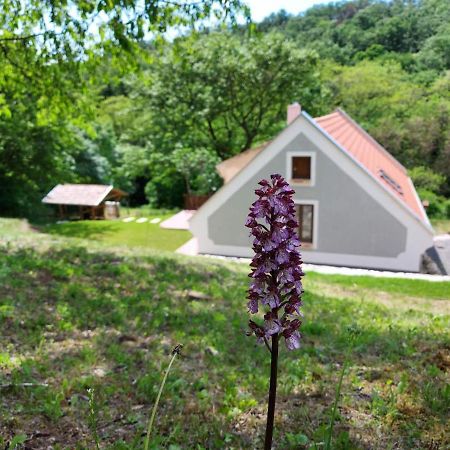 Kosbor Vendégház Monoszlo Esterno foto
