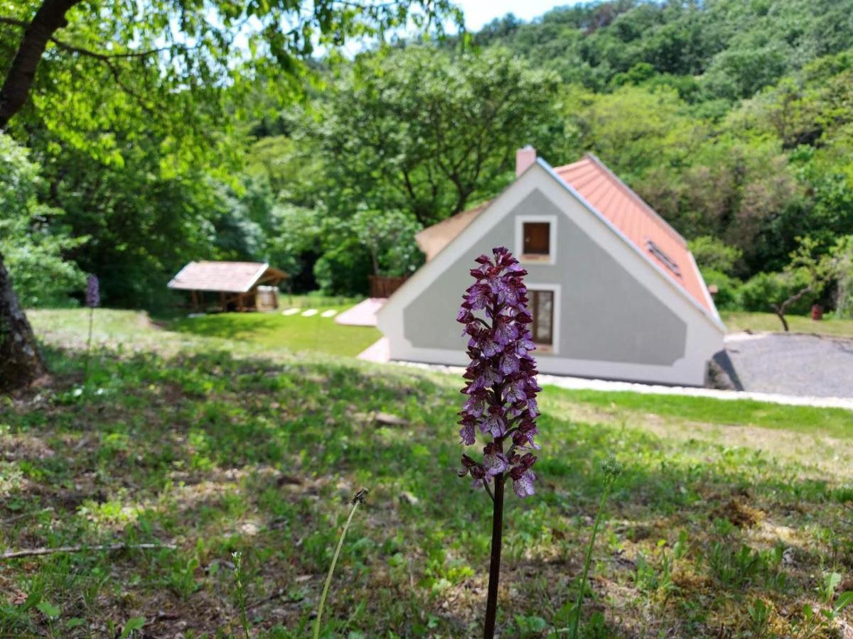 Kosbor Vendégház Monoszlo Esterno foto