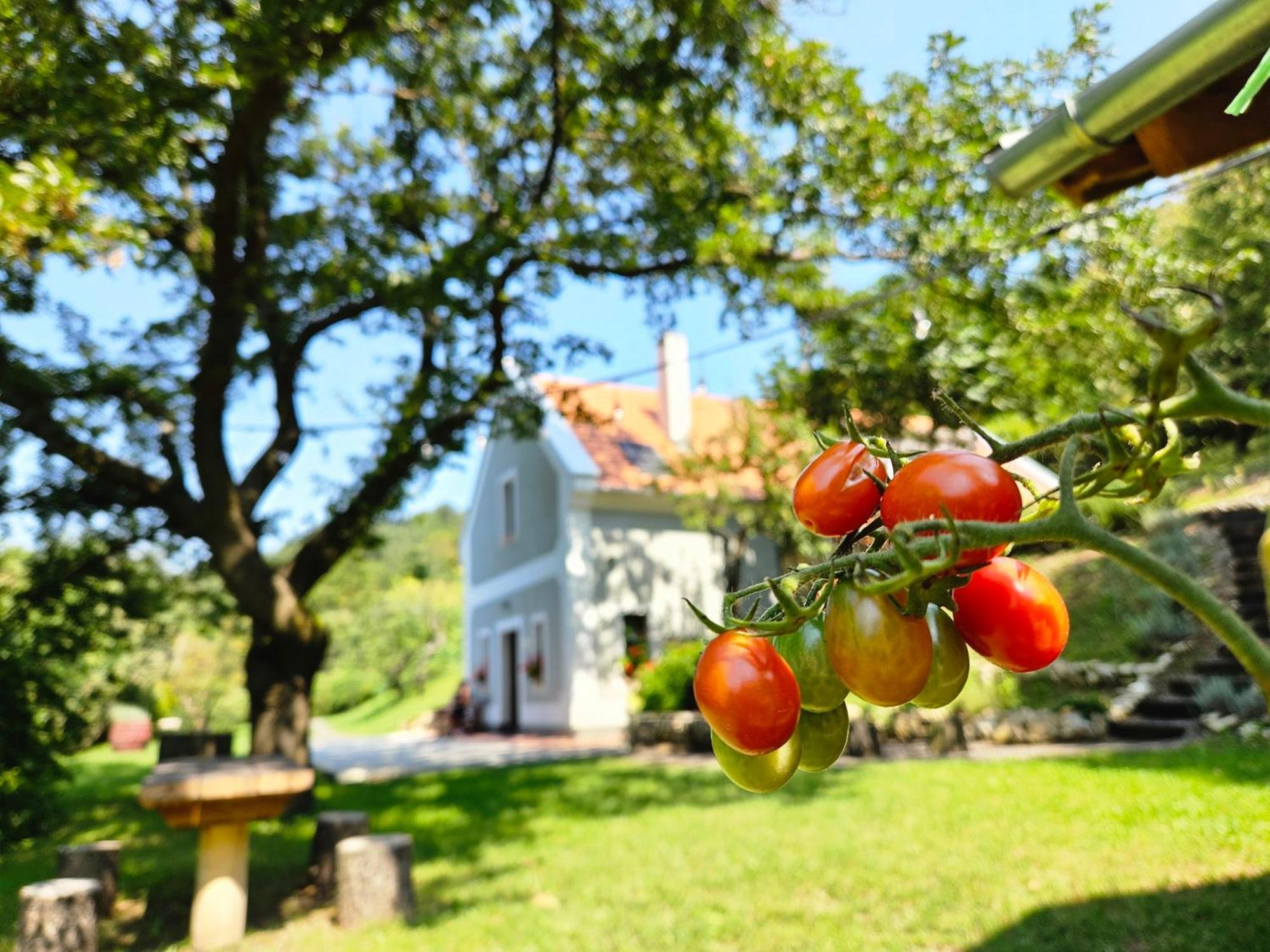 Kosbor Vendégház Monoszlo Esterno foto